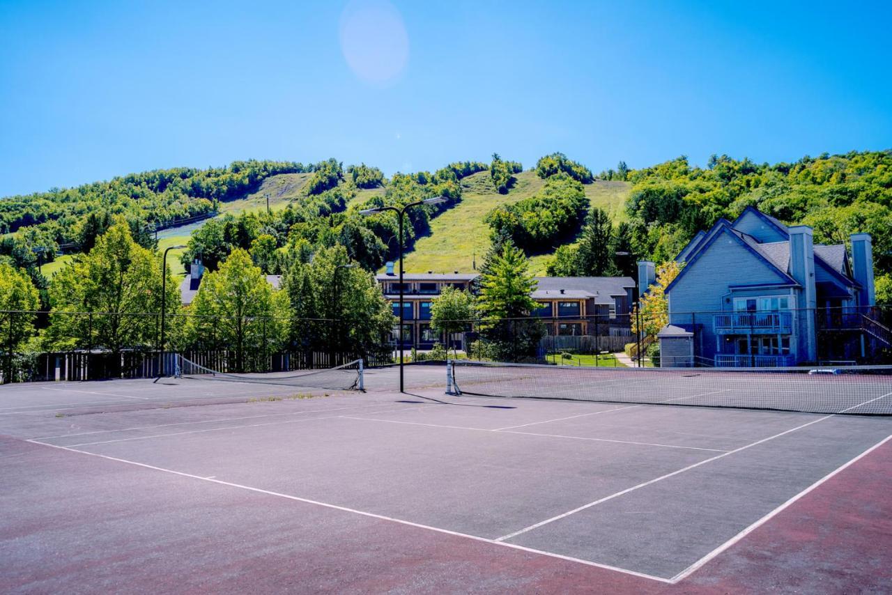 Вілла Gorgeous Loft In The Heart Of Blue Mountain Блу-Маунтінс Екстер'єр фото